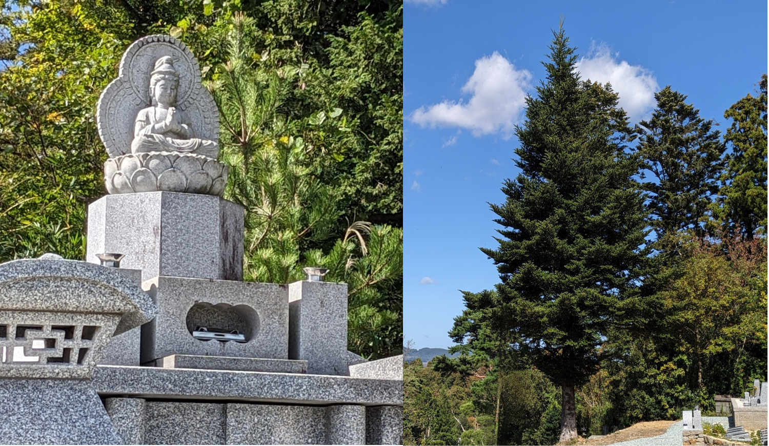 宮城蔵王霊園語らいの丘　合葬墓と樹木墓。管理費の心配もなく安心して永年ご供養させていただきます。